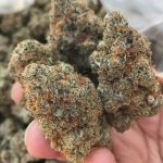 Bubba Kush